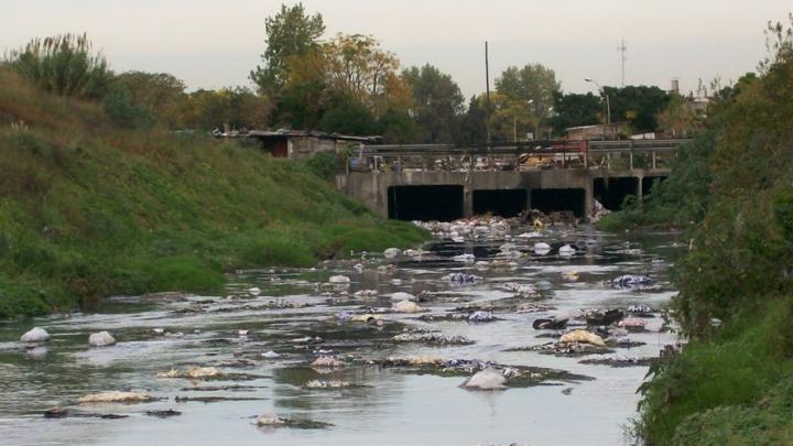 rio sali