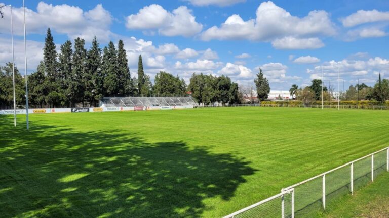 universitario-rugby-club-celebrara-sus-80-anos-1007008-194224
