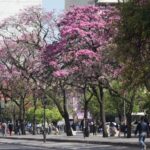 capitalsmtgaleria1_dshvznaj_11-06-2024