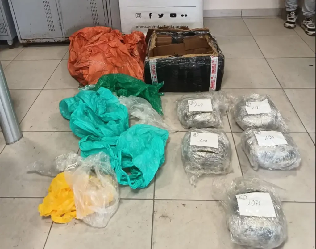 1200x944_el-secuestro-droga-fue-finalmente-decomisada-empresa-correo-privado-1142507-224349