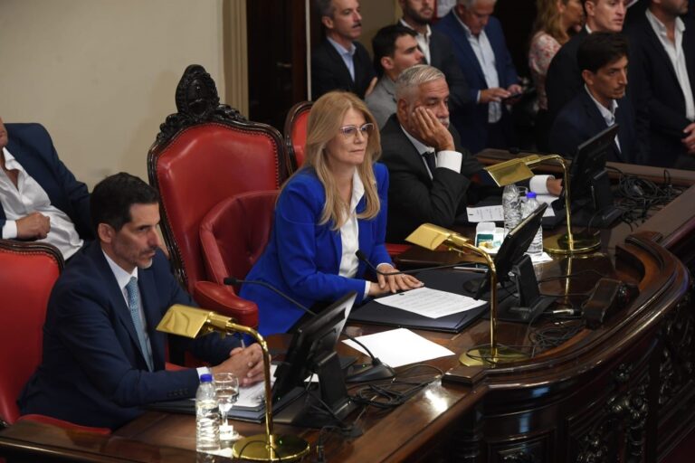 Magario-Senado-bonaerense-2