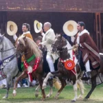 concurso-caballo-peruano-paso
