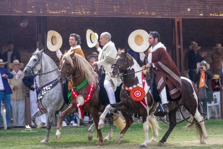 concurso-caballo-peruano-paso